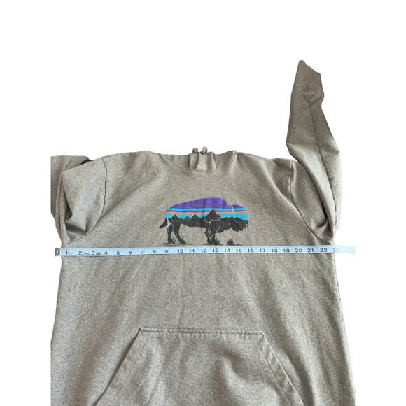 Patagonia women’s Regular Fit Uprisal Buffalo Bison Hoodie Pullover Size Large - Picture 8 of 10